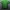 Jersey Real Betis 2018/2019 photo 2