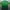 Jersey Real Betis 2018/2019 photo 1