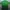 Jersey Real Betis 2018/2019