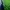 Jersey Real Betis 2018/2019 photo 5