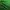 Jersey Real Betis 2018/2019 photo 4