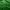 Jersey Real Betis 2018/2019 photo 3