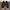 Converse Skateboarding One Star (42,5-27,5)