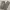 Carhartt Carpenter Pants - Rugged Workwear Classic photo 3