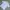Nike Casual Polo Shirt Pria White