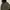 If six was nine sly raccon fur leopard jacket japanese brand photo 4