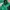 The North Face Casual Track jacket Pria green photo 5