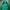 The North Face Casual Track jacket Pria green photo 1
