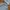 thisisneverthat Casual Hoody Pria gray photo 1