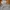 thisisneverthat Casual Hoody Pria gray photo 2