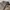NIKE ACG photo 4