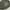 Fly fishing multipocket jacket impertex photo 8