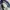 Marithe Francois girbaud baggy denim pant photo 5