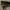 Catokan remington S8540 photo 2