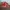 Nike Cortez Red Size 43  photo 2