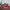 Nike Cortez Red Size 43 