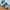 NB Elite v4 blue photo 2