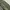 Vinta Alpha Industries L2B Military Jacket