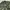 Vinta alpha industries L2B military jacket photo 3
