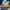 Nike Air Jordan Legacy 312 Low Original 