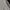Cotton On Premium Men's Panther & Bamboo Japan photo 7