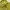 matcha top photo 6