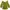 Matcha Top
