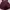 Maroon Tanktop photo 1