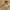 Let Go White Overall Dress - Liunic on Things photo 1