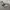 Crewneck BTS Tinytan photo 2