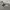 Crewneck BTS Tinytan