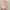 The Palace Ily Gold Necklace berat 2,4gr Authentic photo 6