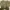 Beige Outer photo 1