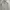 Hoodie under armour x project rock second (3149) photo 1