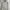 Hoodie under armour x project rock second (3149) photo 2