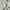 Hoodie under armour x project rock second (3149) photo 3