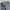 Warrior Wear Tactical Outdoor Cargo Warm Tech Parachute Long photo 4
