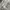US AIR FORCE BDU FIELD JACKET TIGER STRIPE DIGITAL CAMOUFLAG photo 7