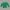 Casual Cardigan Wanita Green