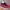 Jordan Flight authentic 2015 photo 1