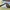 Rayban wayfarer tortoise RB2140 photo 5