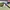 Rayban wayfarer tortoise RB2140 photo 4