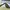 Rayban wayfarer rb2140 photo 5