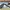 Rayban wayfarer reverse photo 4