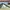 Rayban wayfarer reverse photo 4