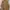Vintage Trench Coat Pria Brown Orange