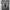 Nike Vomero 5 "Anthracite" photo 5