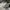 vans sk8 low contrast white/black  photo 3