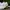 vans slip on u-colour tatto true white  photo 3