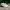 vans slip on u-colour tatto true white  photo 1